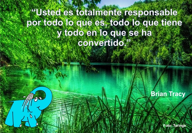 Frase de Brian Tracy sobre La Responsabilidad, en La Frase del Día del Centro de lavado de coches Elefante Azul de Avilés